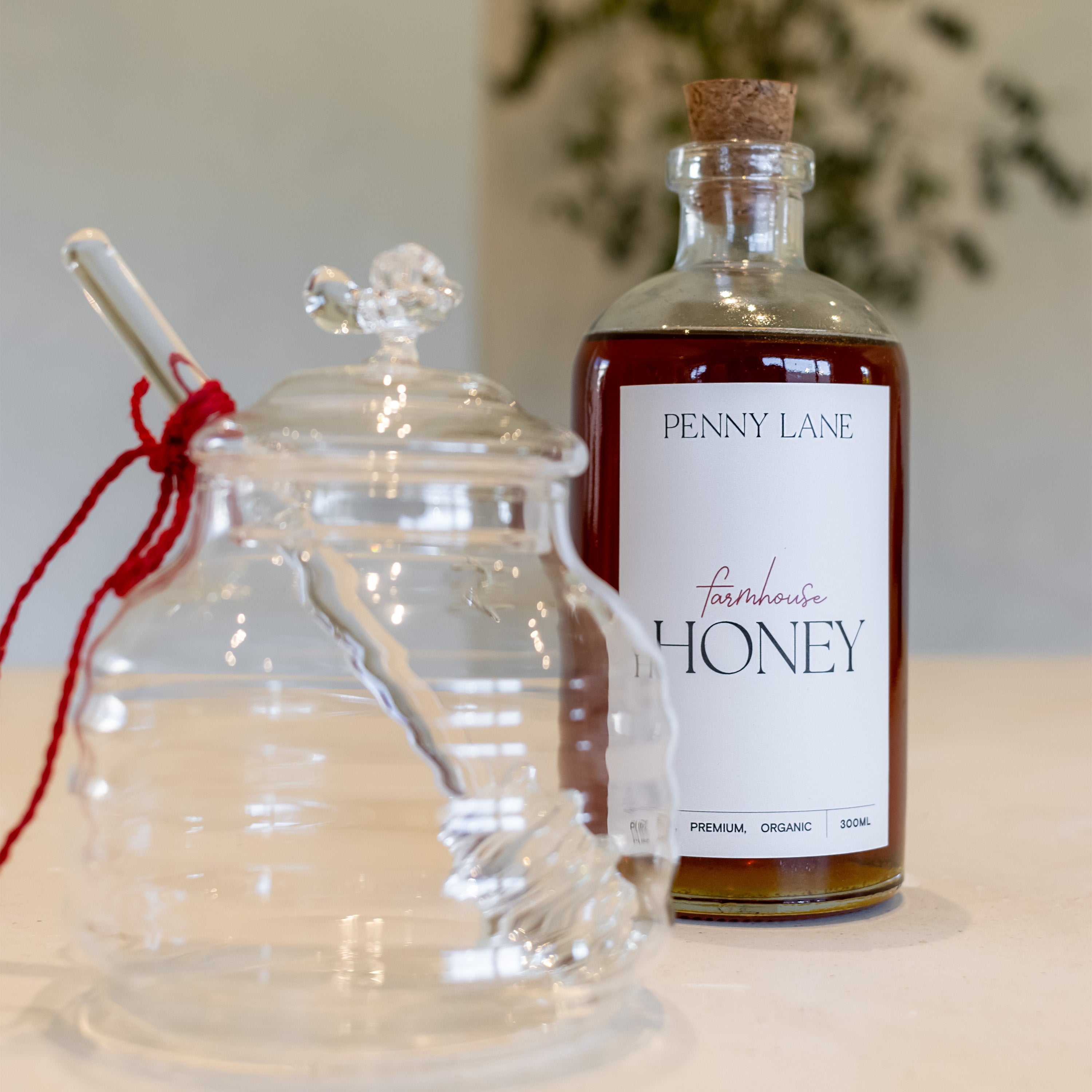 Glass honey jar with glass dipper that has a red tie on it, standing next to a glass bottle of honey with a cork lid in front of greenery