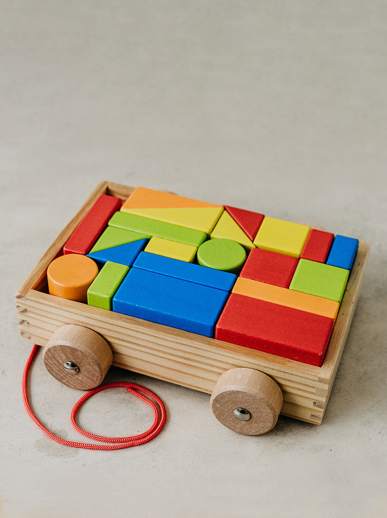 Trend{ING} Baby's building blocks on wheels colurful geometric game in a pull trolley